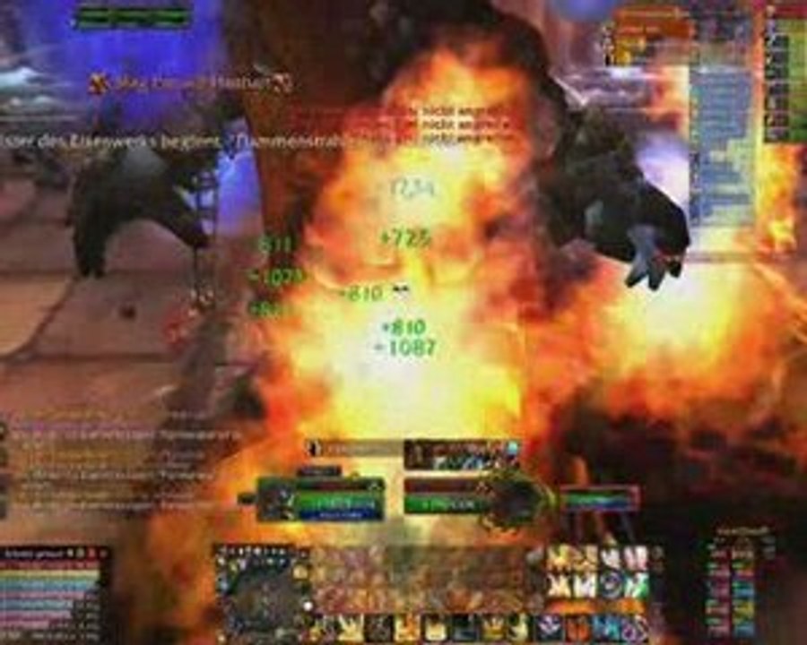 joeys raidcorner ignis 10er