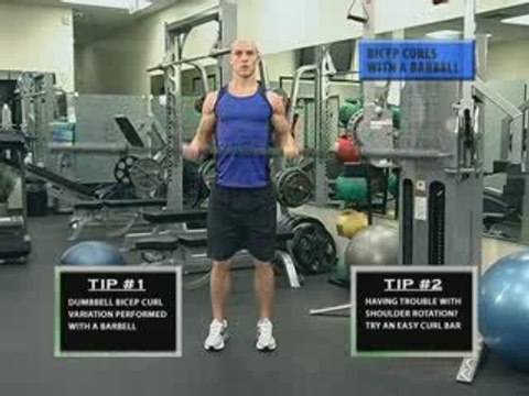 Barbell Bicep curls | Bicep Curls