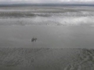 Helicopter Crash in Grays Harbor Washington