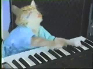 Play Him Off, Keyboard Cat