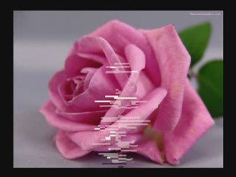 Ömer Karaoğlu Sana Kurbanım Sultanım