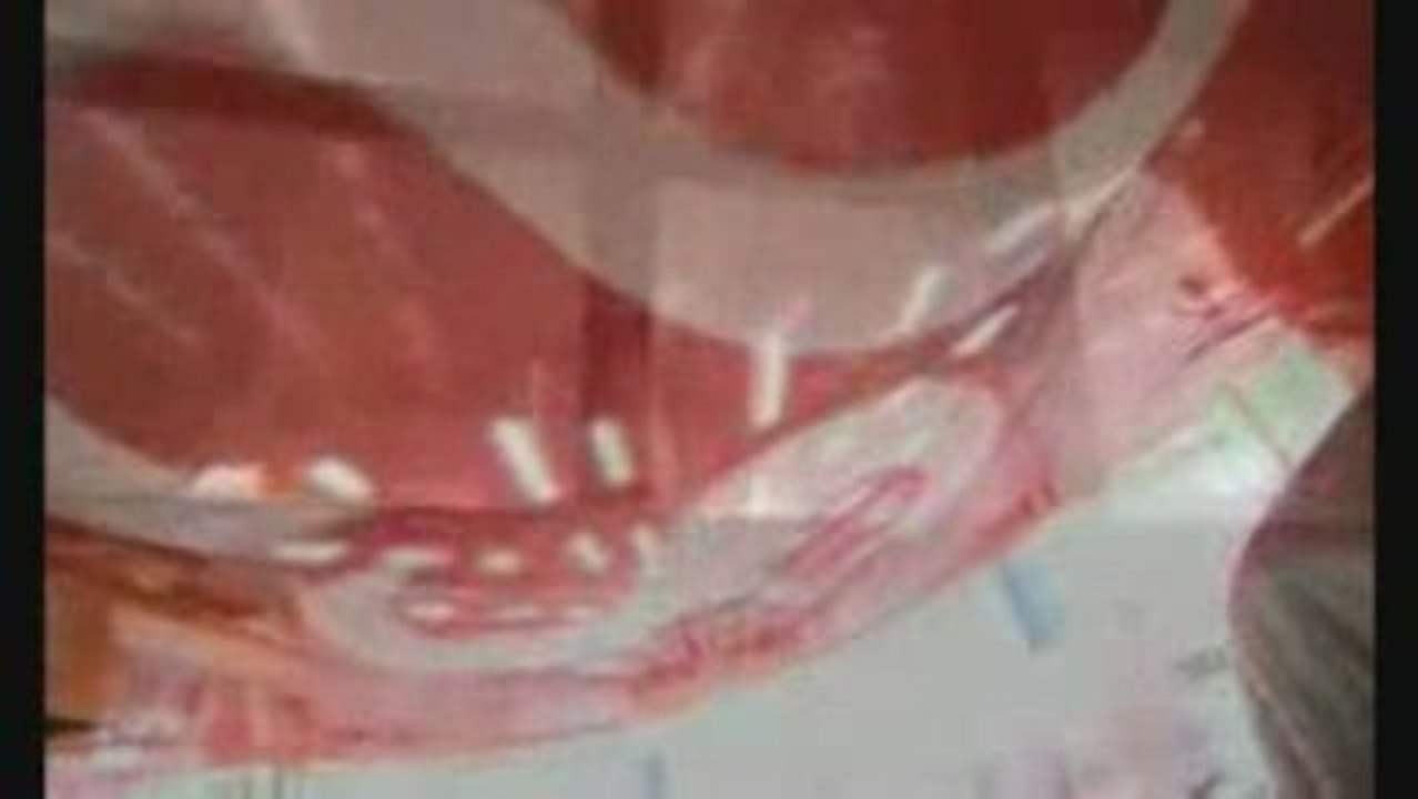 PEINTURE DE L'AIRBUS A380 EMIRATES A HAMBOURG.