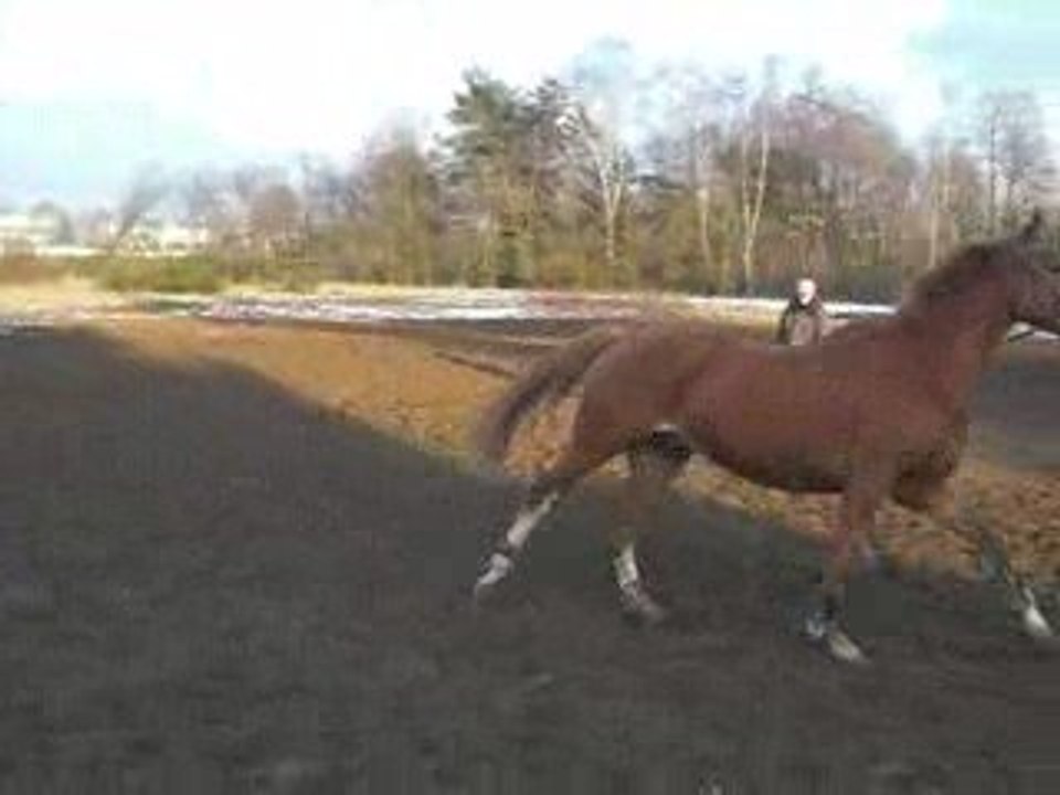 Guetapan du bobois & Marjorie à la longe xD