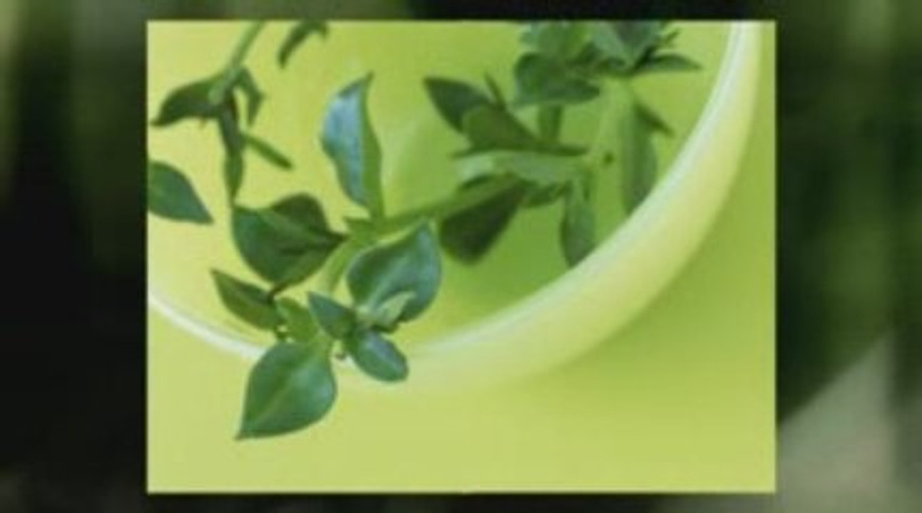 WIN The War Against Diabetes.Natural Way To Increase Your In