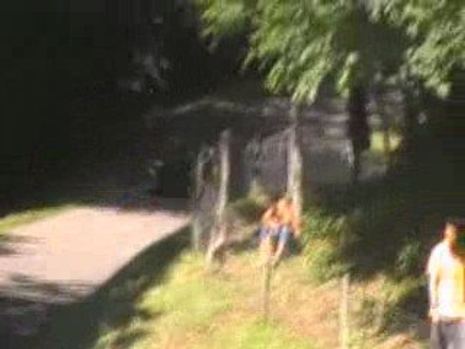 Marchaux 2009 épingle gauche avant omega side car