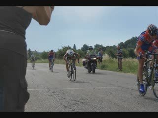 Course à grillon et berre.