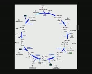 LLP Message de l'eau 2 sur 2