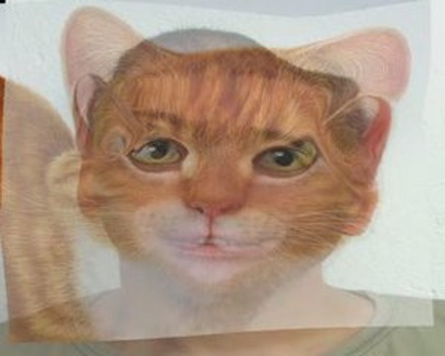 chat transformation winmorph
