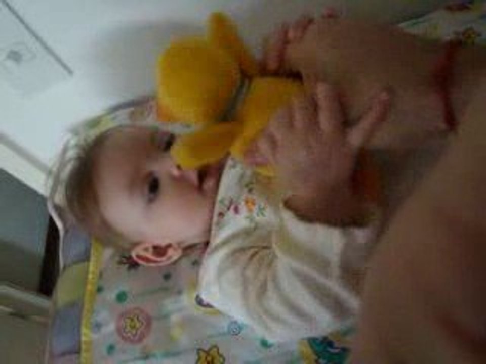 Juju e o Pato