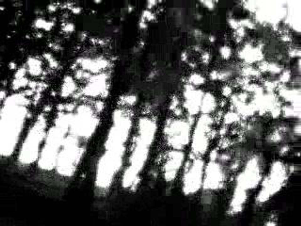 Fallen angel?