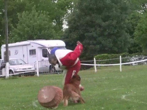 Astek du domaine de la Rochelière, 2eme sélectif Ring 2009