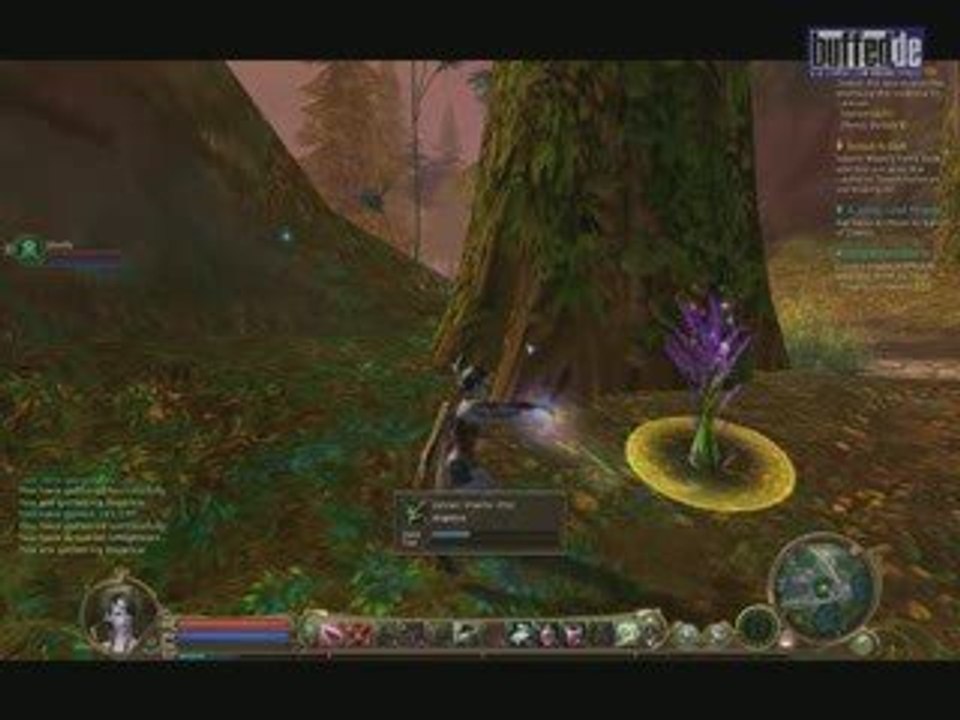 Buffedshow 146 von buffed.de