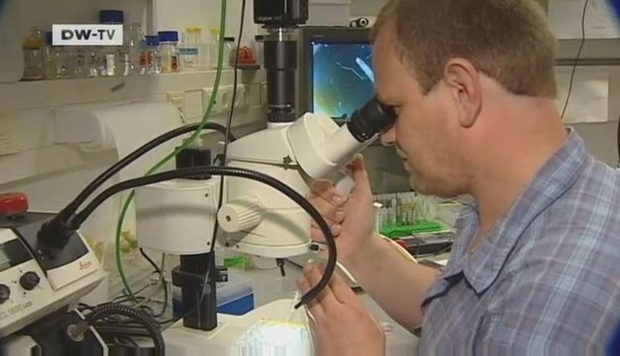Tomorrow Today | Parasites - evolution