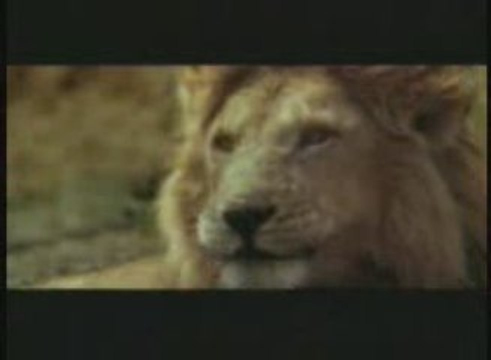 sos gazelle bonjour? ...!