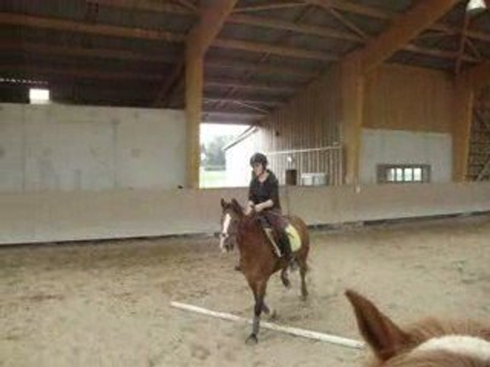 Kyrie & Moi sur un parcours de barres par terre.