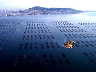 Le BA...THAU des copains chez Brassens