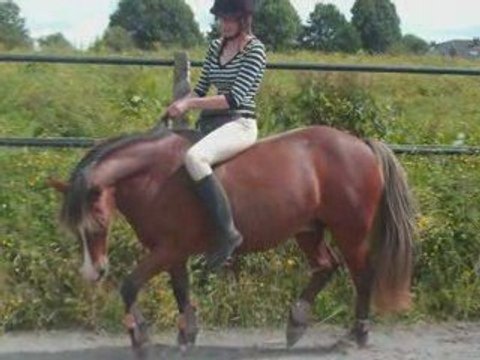 Mes Blogs préférés