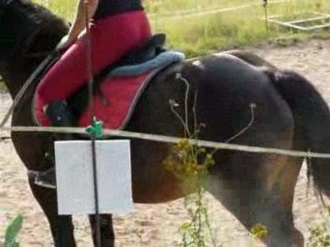 cass et marquise transition arret pas trot