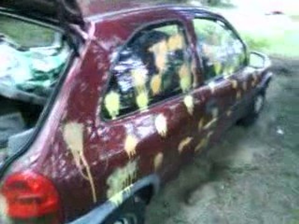 Paintzo....