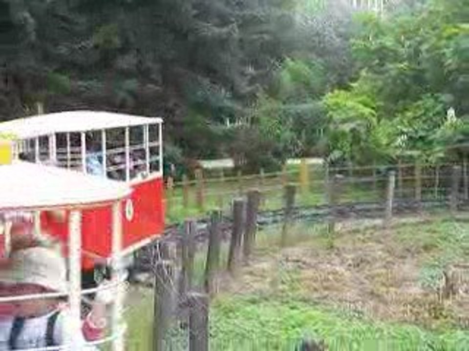 train ride