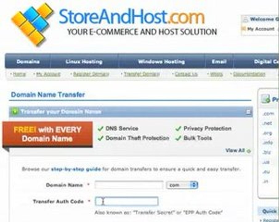 What is Domain Transfer secret authorisation code...?