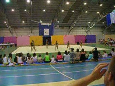 masse poussine cerceau ballon virginie grs fronton gala