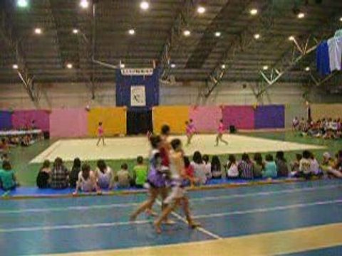 excelllence 1 de carole grs fronton gala