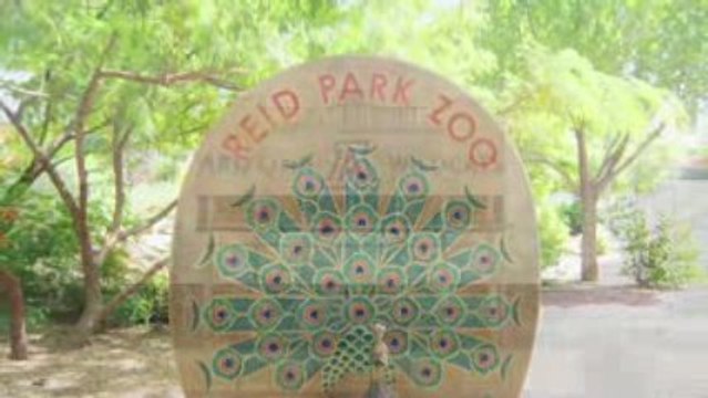 MOTEL 6 TUCSON NORTH Video Tour