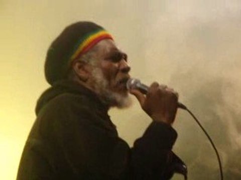 Ganja Tree Roots Rubadub Reggae DanceHall