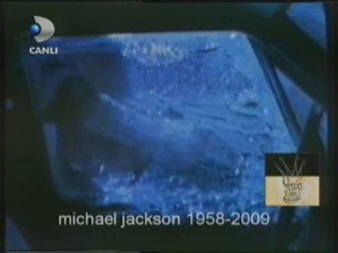 michael jackson 1958-2009