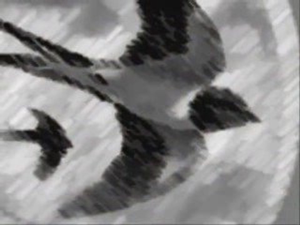 Can Dündar - Kırlangıcın Hikayesi