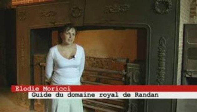 Domaine Royal de Randan, histoire d'un monument