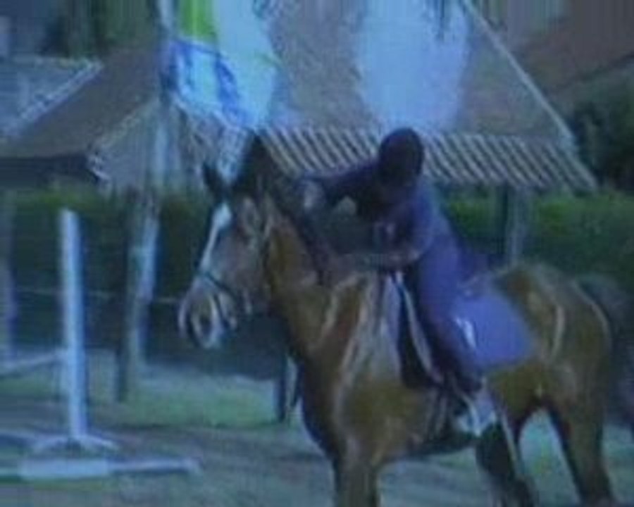 10 ans d'équitation