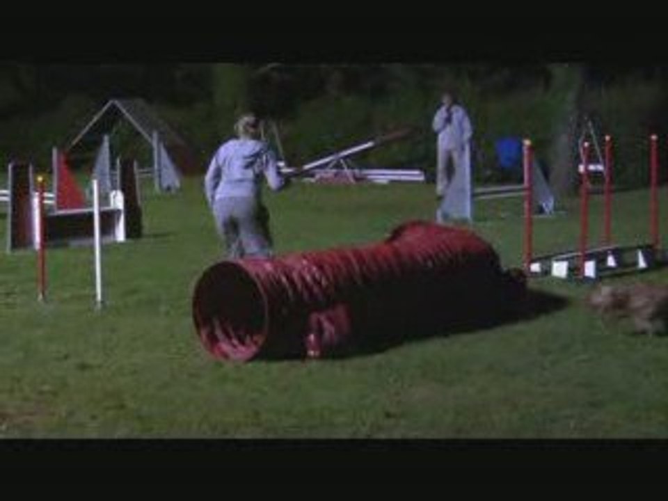 jumping toupy sarrguemine