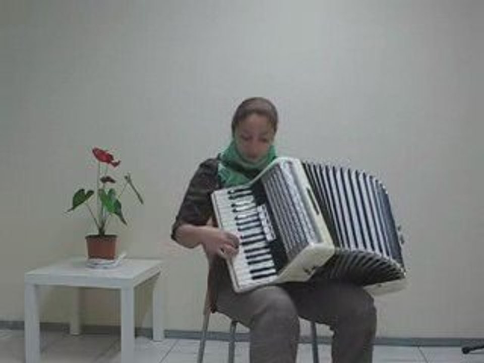 akordeon kursu akordeon kursları taksim sanat 0212 251 07 14