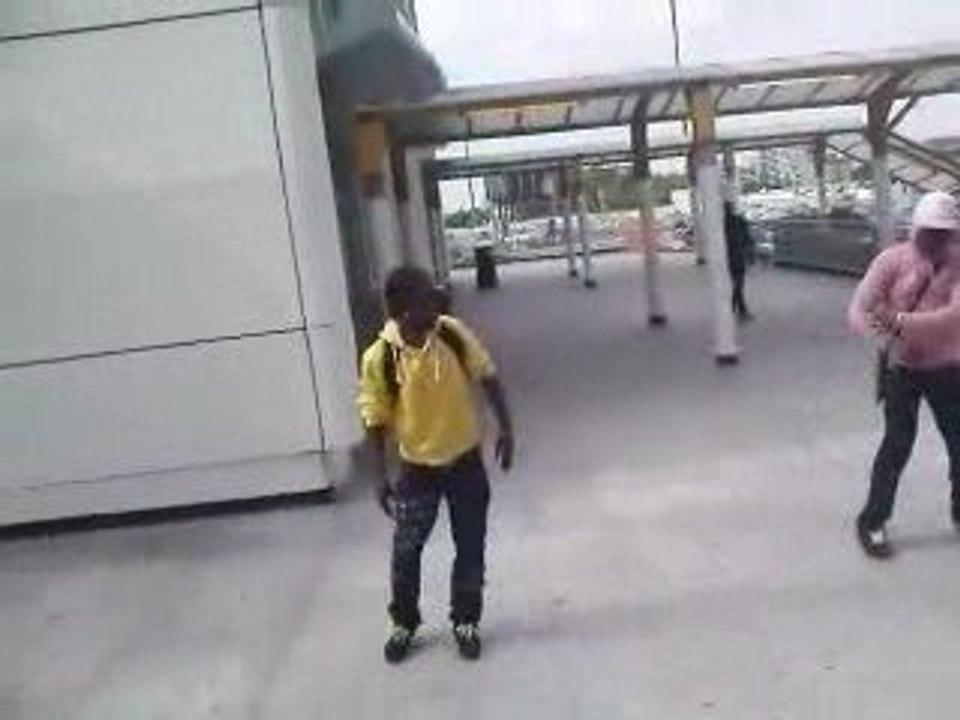 "pit94 'black skin","YAN'ShOu VLT","bb'pheno,Axou black gs"