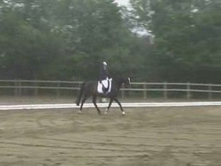 Roghoun d'Aulne Haine-St-Pierre 28 juin 2009