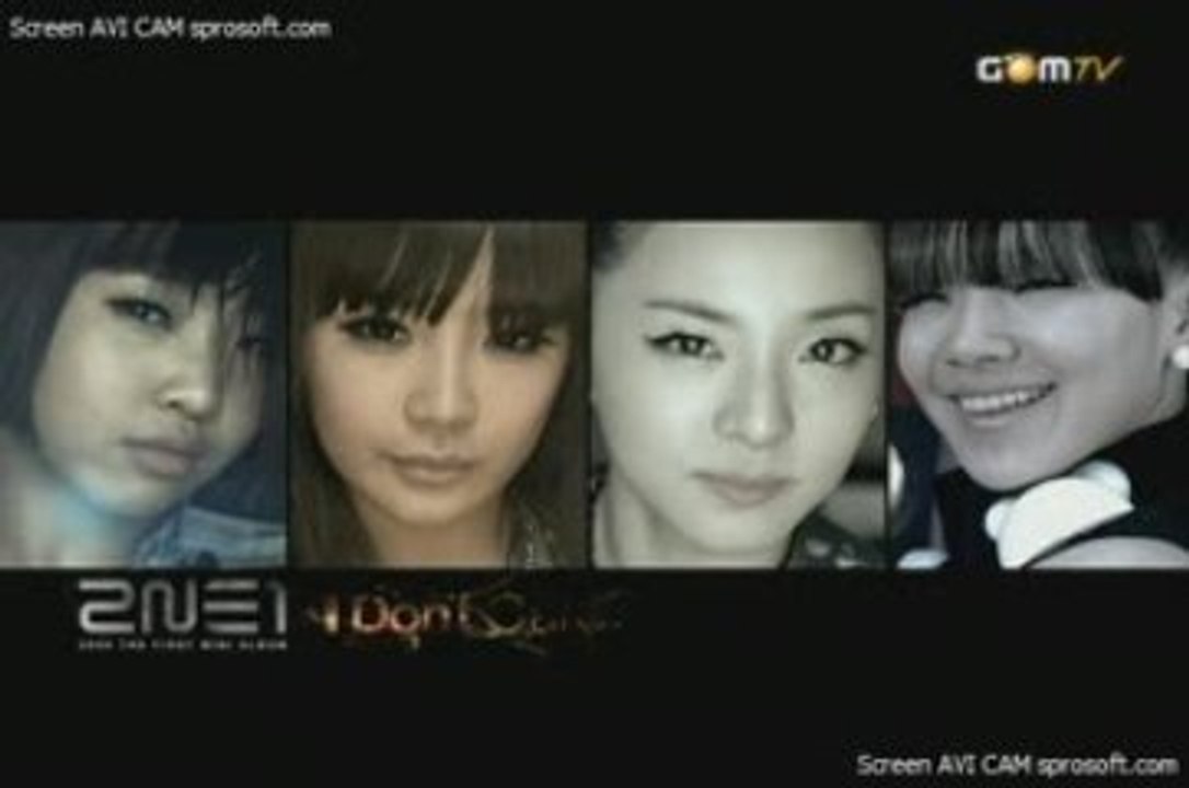 2NE1 - I Don't Care MV