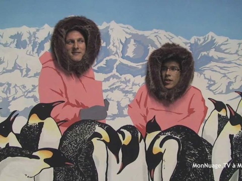 Montpellier centre : monuments, aquarium, rugby...