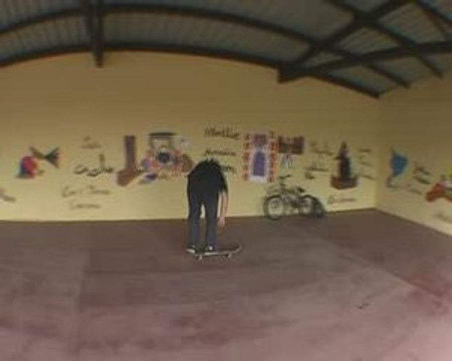 Double flip