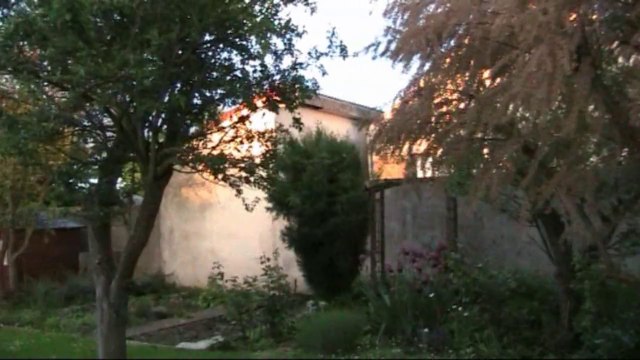 Jardin sous la pluie et lumière d'un coucher de soleil