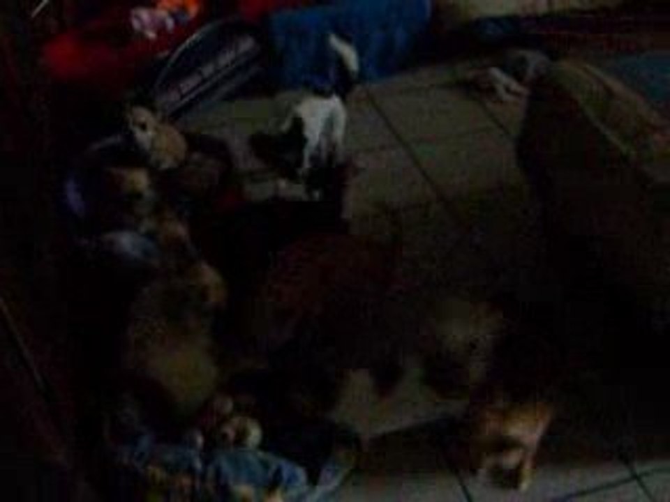 j09 juillet 2009 001