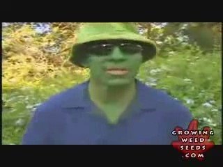 Step By Step Hydroponic Marijuana Grow Room Set Up Part 7