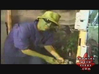 Step By Step Hydroponic Marijuana Grow Room Set Up Part 8