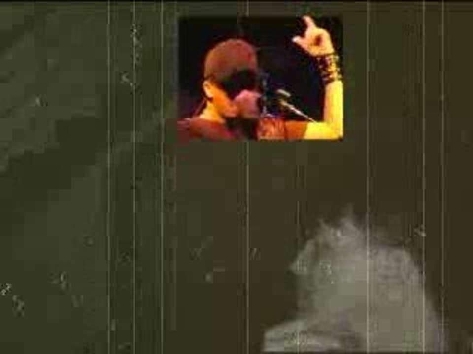 SONIC IMPULSE Vlog #4 - My thoughts