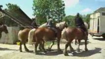 JOYEUSE BANDE DES ÉCURIES COMTOISES - La passion du cheval c
