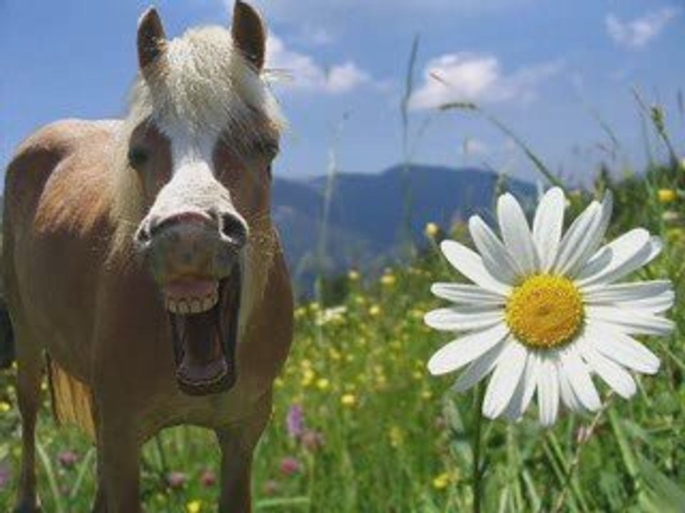 Vidéo 1 an du départ de Roméra