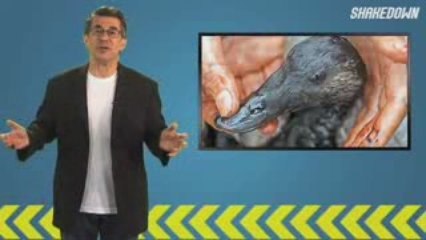 Jaguar XJ, GM could be 'Going Green', BMW may be ...