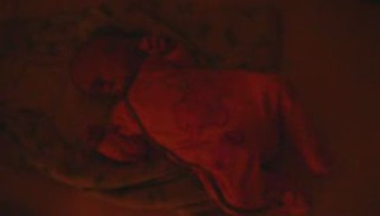 bebe dort