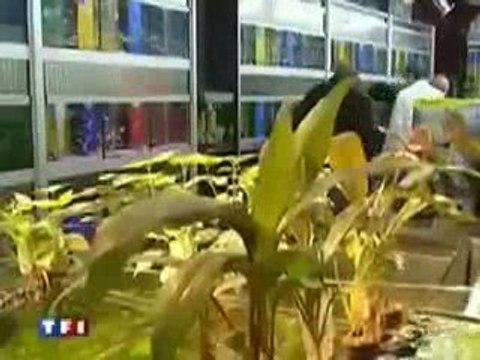 EXPERT COMPTABLE PARIS 75009